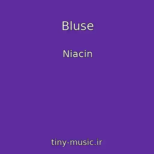 کاور آهنگ Bluse از Niacin