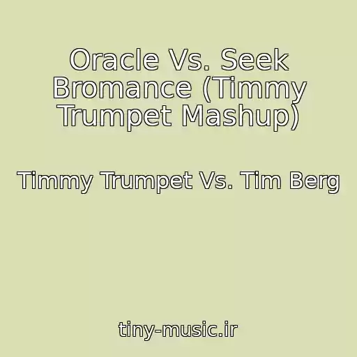 کاور آهنگ Oracle Vs. Seek Bromance (Timmy Trumpet Mashup) از Timmy Trumpet Vs. Tim Berg