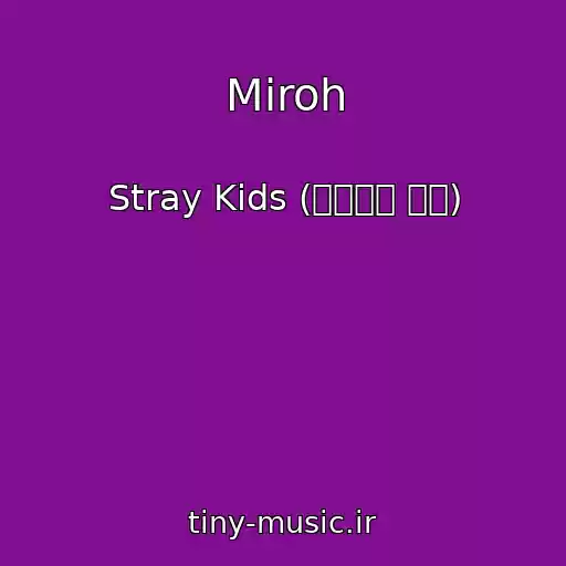 کاور آهنگ Miroh از Stray Kids (스트레이 키즈)