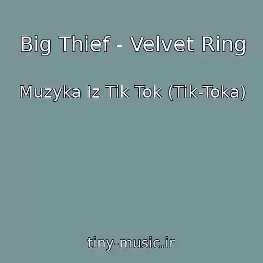 کاور آهنگ Big Thief - Velvet Ring از Muzyka Iz Tik Tok (Tik-Toka)