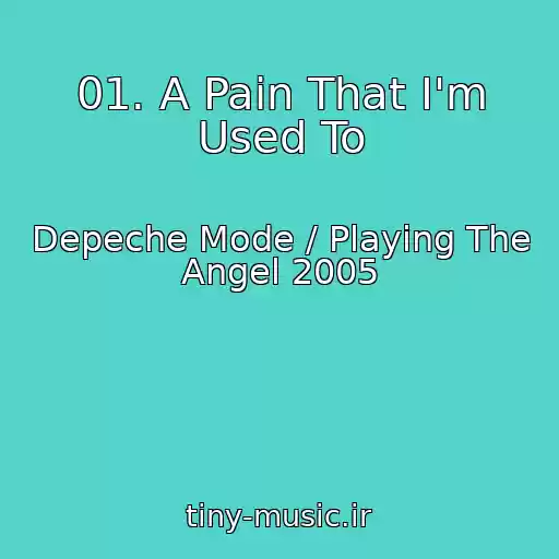 کاور آهنگ 01. A Pain That I'm Used To از Depeche Mode / Playing The Angel 2005