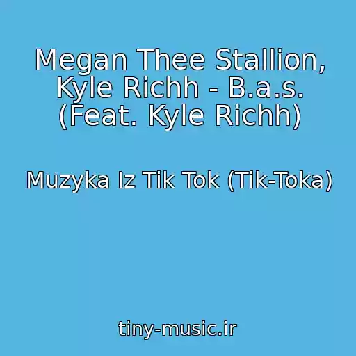 کاور آهنگ Megan Thee Stallion, Kyle Richh - B.a.s. (Feat. Kyle Richh) از Muzyka Iz Tik Tok (Tik-Toka)