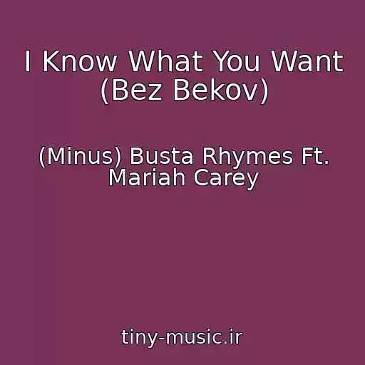 کاور آهنگ I Know What You Want (Bez Bekov) از (Minus) Busta Rhymes Ft. Mariah Carey