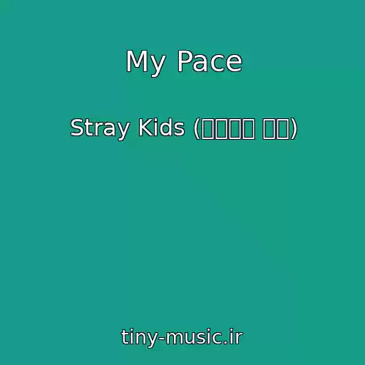 کاور آهنگ My Pace از Stray Kids (스트레이 키즈)