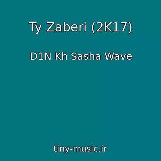کاور آهنگ Ty Zaberi (2K17) از D1N Kh Sasha Wave