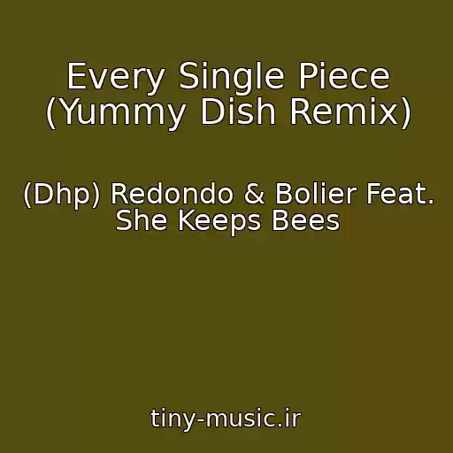کاور آهنگ Every Single Piece (Yummy Dish Remix) از (Dhp) Redondo & Bolier Feat. She Keeps Bees