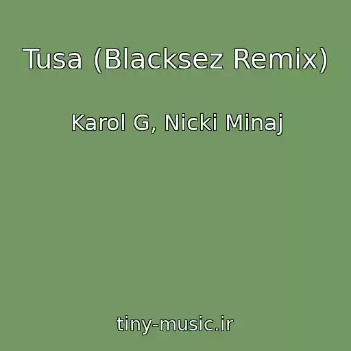 کاور آهنگ Tusa (Blacksez Remix) از Karol G, Nicki Minaj