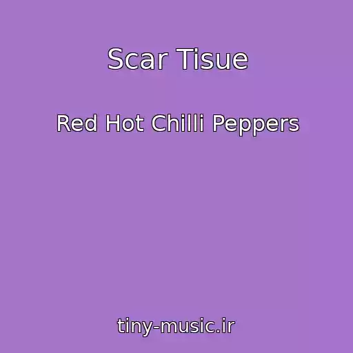 کاور آهنگ Scar Tisue از Red Hot Chilli Peppers