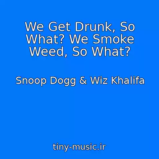 کاور آهنگ We Get Drunk, So What? We Smoke Weed, So What? از Snoop Dogg & Wiz Khalifa