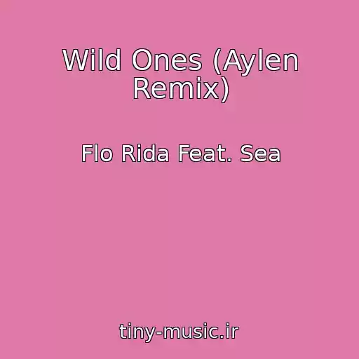 کاور آهنگ Wild Ones (Aylen Remix) از Flo Rida Feat. Sea