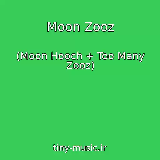 کاور آهنگ Moon Zooz از (Moon Hooch + Too Many Zooz)