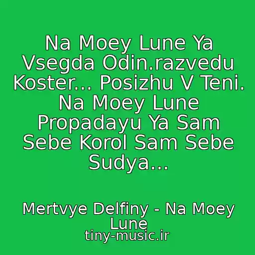 کاور آهنگ Na Moey Lune Ya Vsegda Odin.razvedu Koster... Posizhu V Teni. Na Moey Lune Propadayu Ya Sam Sebe Korol Sam Sebe Sudya... از Mertvye Delfiny - Na Moey Lune