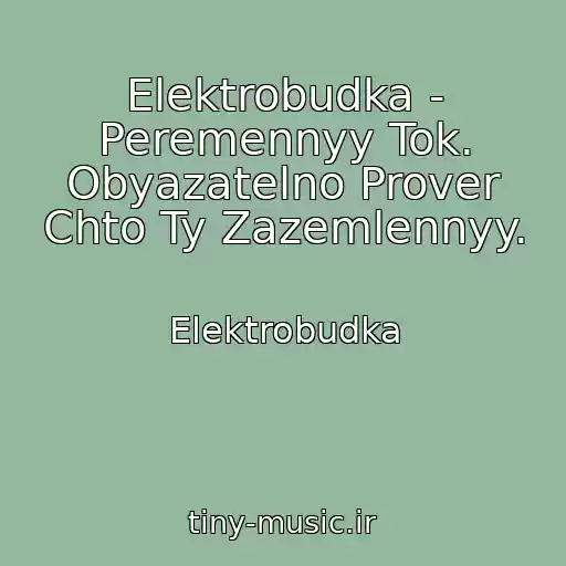 کاور آهنگ Elektrobudka - Peremennyy Tok. Obyazatelno Prover Chto Ty Zazemlennyy. از Elektrobudka