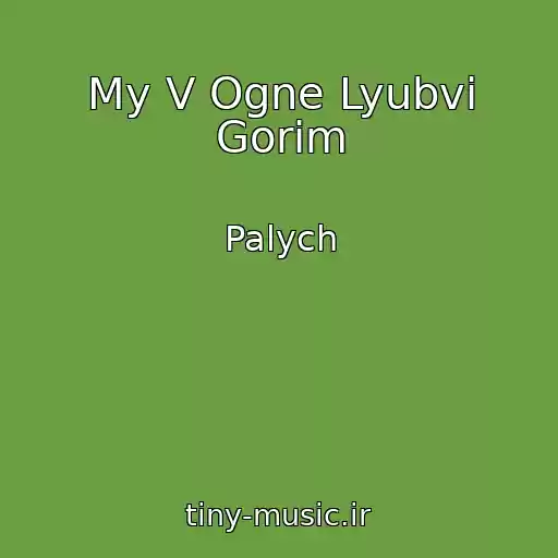 کاور آهنگ My V Ogne Lyubvi Gorim از Palych