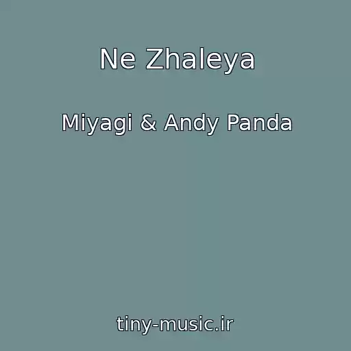 کاور آهنگ Ne Zhaleya از Miyagi & Andy Panda