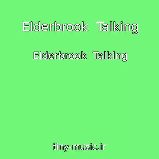 کاور آهنگ Elderbrook  Talking از Elderbrook  Talking