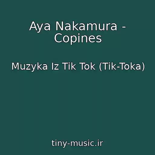 کاور آهنگ Aya Nakamura - Copines از Muzyka Iz Tik Tok (Tik-Toka)