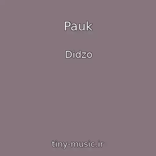 کاور آهنگ Pauk از Didzo