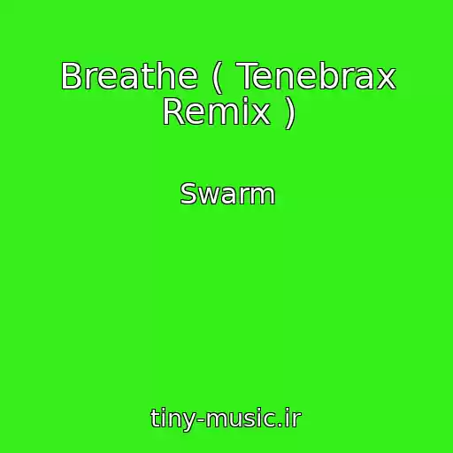 کاور آهنگ Breathe ( Tenebrax Remix ) از Swarm