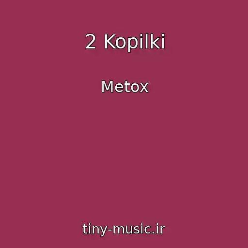 کاور آهنگ 2 Kopilki از Metox