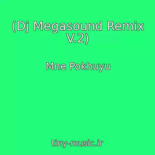 کاور آهنگ (Dj Megasound Remix V.2) از Mne Pokhuyu
