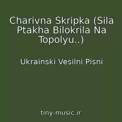 کاور آهنگ Charіvna Skripka (Sіla Ptakha Bіlokrila Na Topolyu..) از Ukraїnskі Vesіlnі Pіsnі