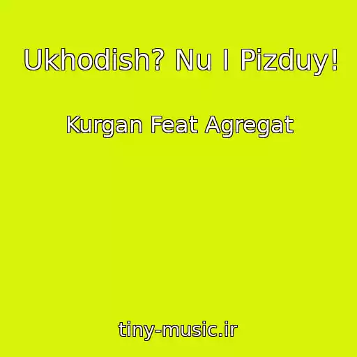 کاور آهنگ Ukhodish? Nu І Pizduy! از Kurgan Feat Agregat