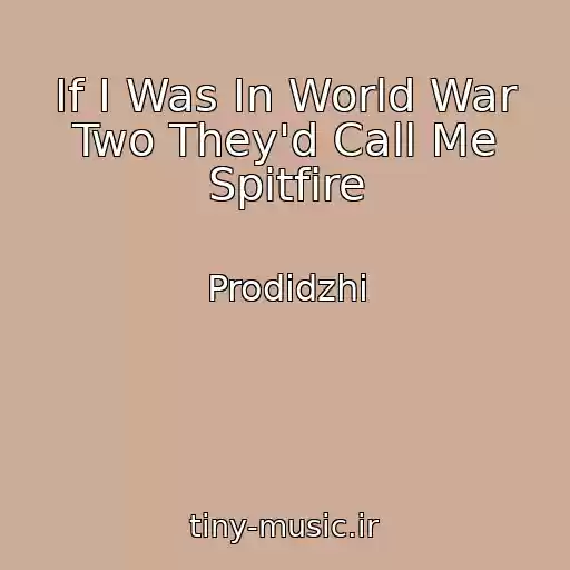 کاور آهنگ If I Was In World War Two They'd Call Me Spitfire از Prodidzhi