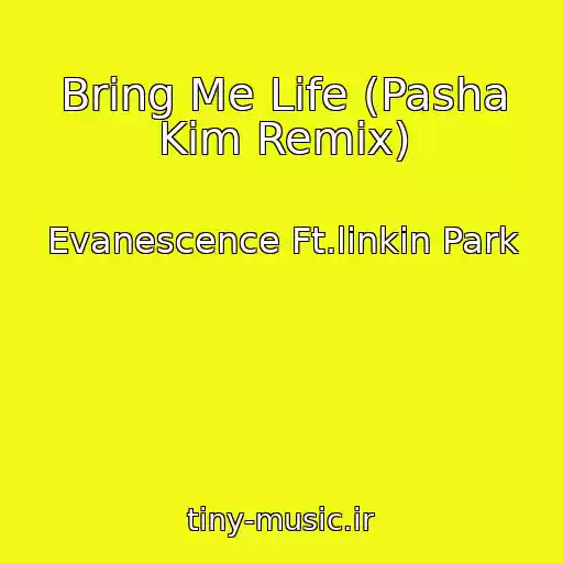 کاور آهنگ Bring Me Life (Pasha Kim Remix) از Evanescence Ft.linkin Park