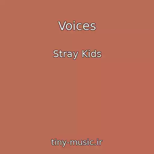 کاور آهنگ Voices از Stray Kids