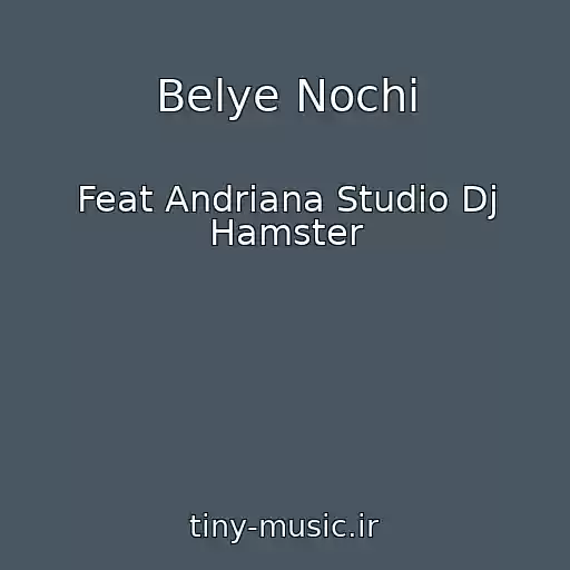 کاور آهنگ Belye Nochi از Feat Andriana Studio Dj Hamster