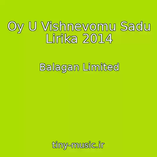 کاور آهنگ Oy U Vishnevomu Sadu Lirika 2014 از Balagan Limited