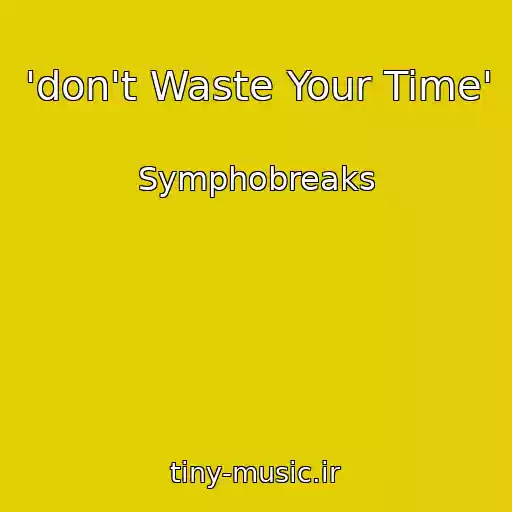 کاور آهنگ 'don't Waste Your Time' از Symphobreaks