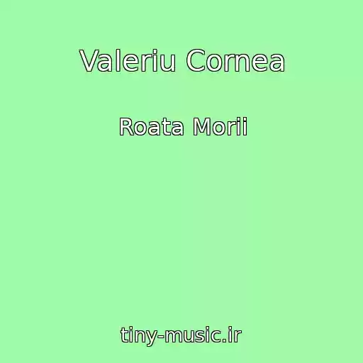 کاور آهنگ Valeriu Cornea از Roata Morii