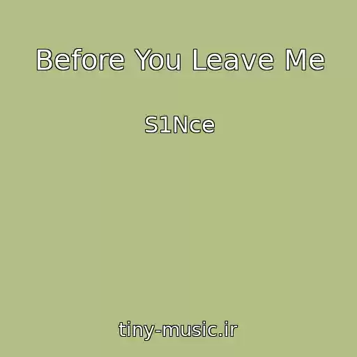 کاور آهنگ Before You Leave Me از S1Nce
