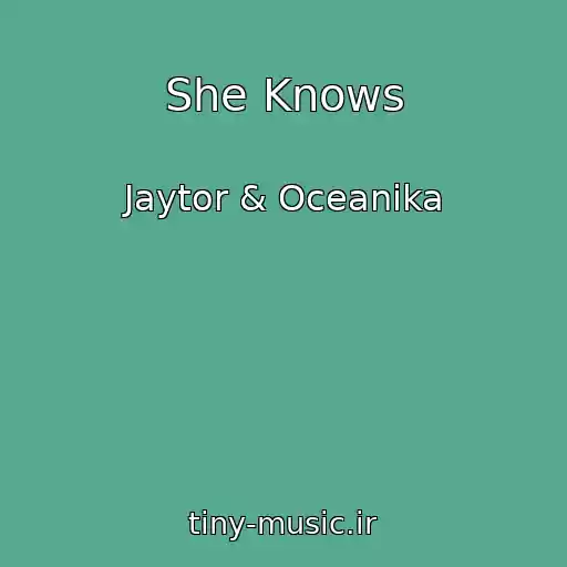 کاور آهنگ She Knows از Jaytor & Oceanika