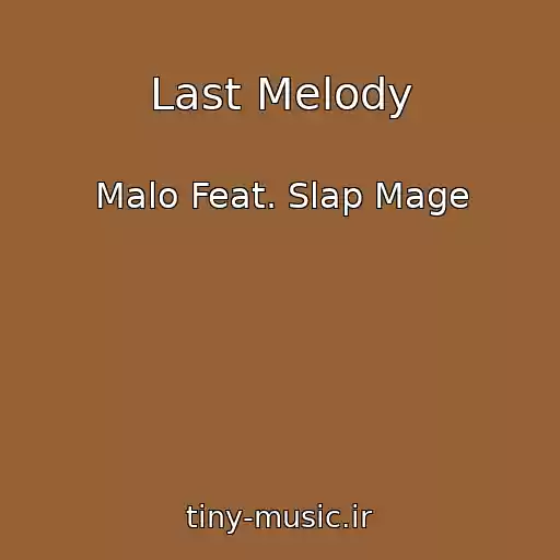کاور آهنگ Last Melody از Malo Feat. Slap Mage