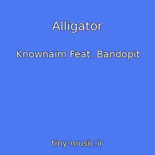 کاور آهنگ Alligator از Knownaim Feat. Bandopit