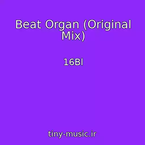 کاور آهنگ Beat Organ (Original Mix) از 16Bl