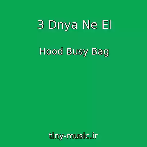 کاور آهنگ 3 Dnya Ne El از Hood Busy Bag