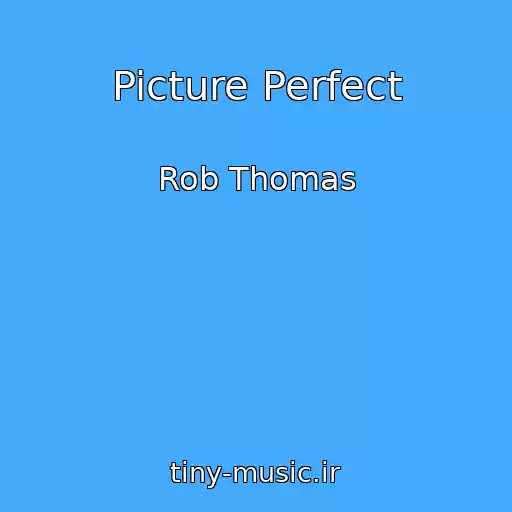 کاور آهنگ Picture Perfect از Rob Thomas