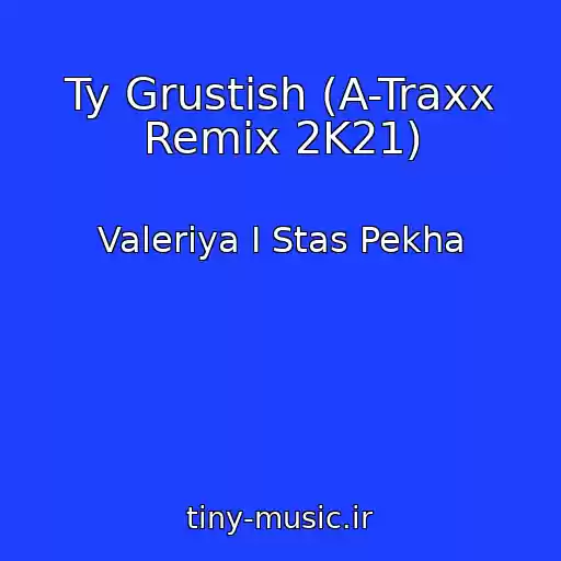 کاور آهنگ Ty Grustish (A-Traxx Remix 2K21) از Valeriya I Stas Pekha