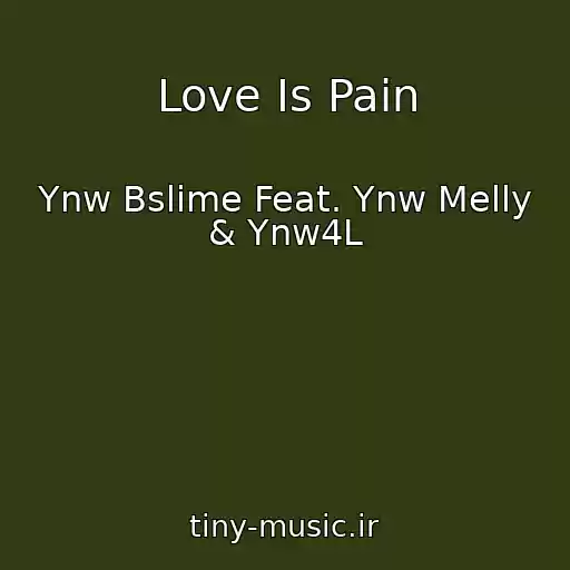 کاور آهنگ Love Is Pain از Ynw Bslime Feat. Ynw Melly & Ynw4L