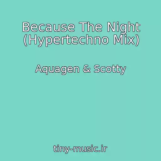 کاور آهنگ Because The Night (Hypertechno Mix) از Aquagen & Scotty