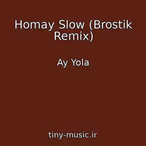 کاور آهنگ Homay Slow (Brostik Remix) از Ay Yola