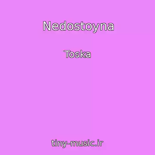 کاور آهنگ Nedostoyna از Toska