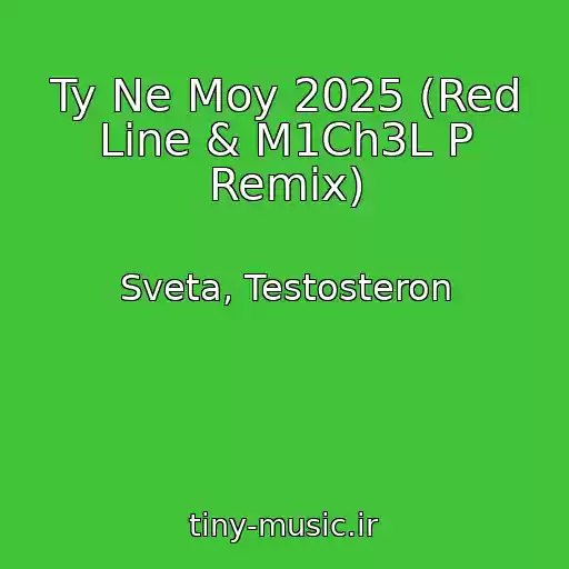 کاور آهنگ Ty Ne Moy 2025 (Red Line & M1Ch3L P Remix) از Sveta, Testosteron