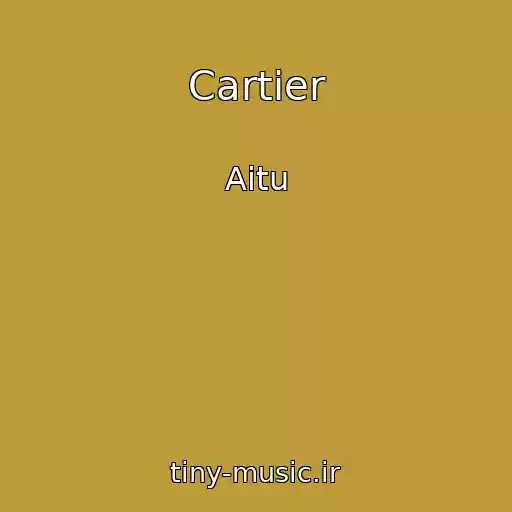 کاور آهنگ Cartier از Aitu