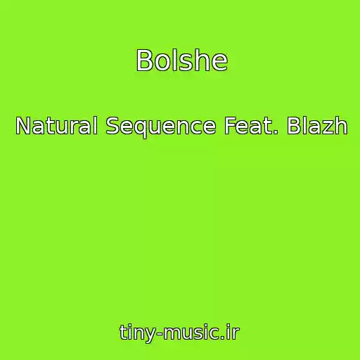 کاور آهنگ Bolshe از Natural Sequence Feat. Blazh