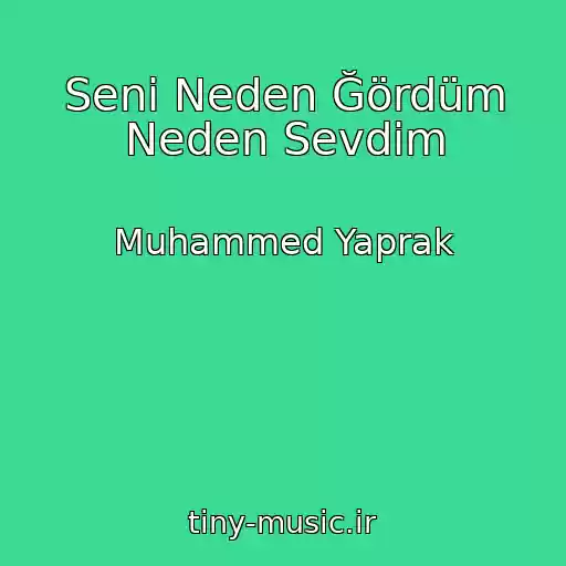 کاور آهنگ Seni Neden Ğördüm Neden Sevdim از Muhammed Yaprak